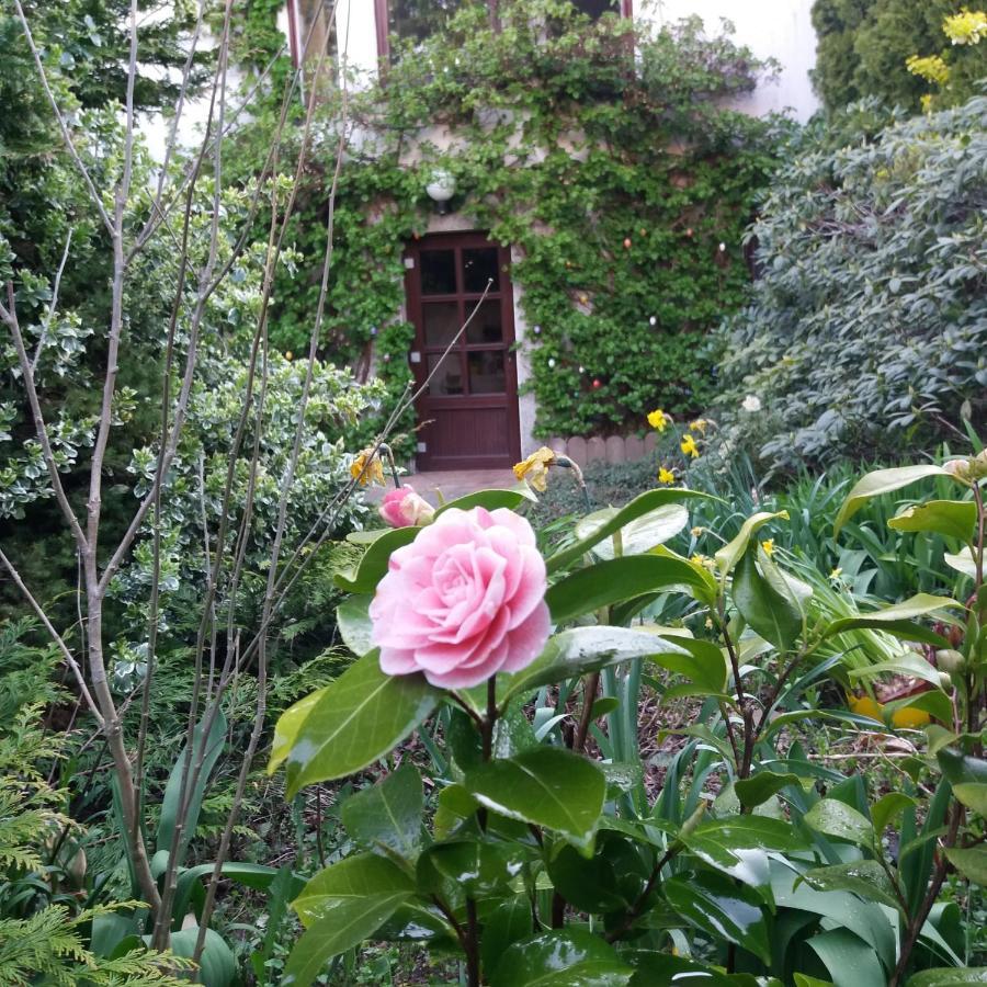 Appartement Auf Ruegen Sagard Bagian luar foto