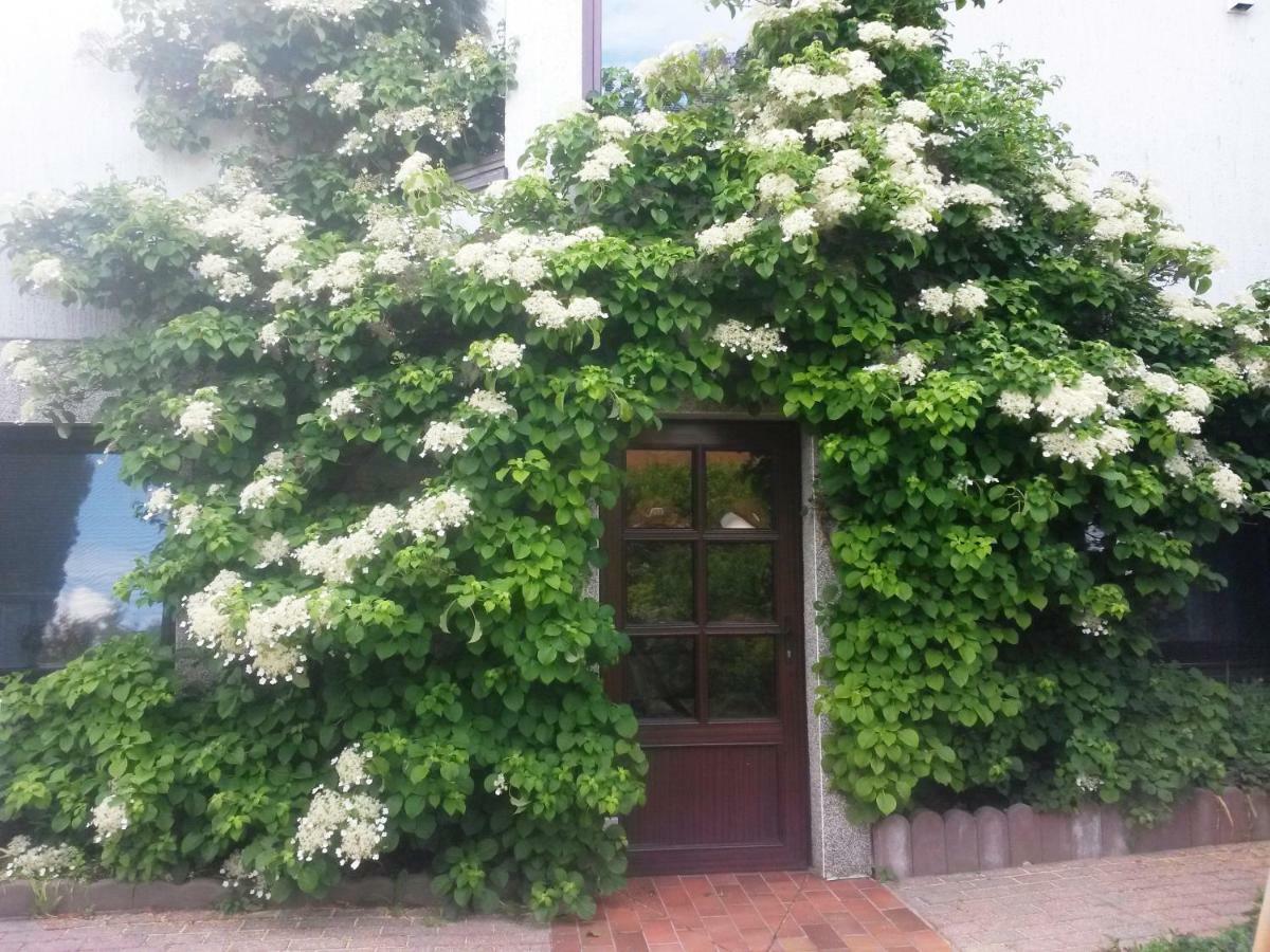 Appartement Auf Ruegen Sagard Bagian luar foto